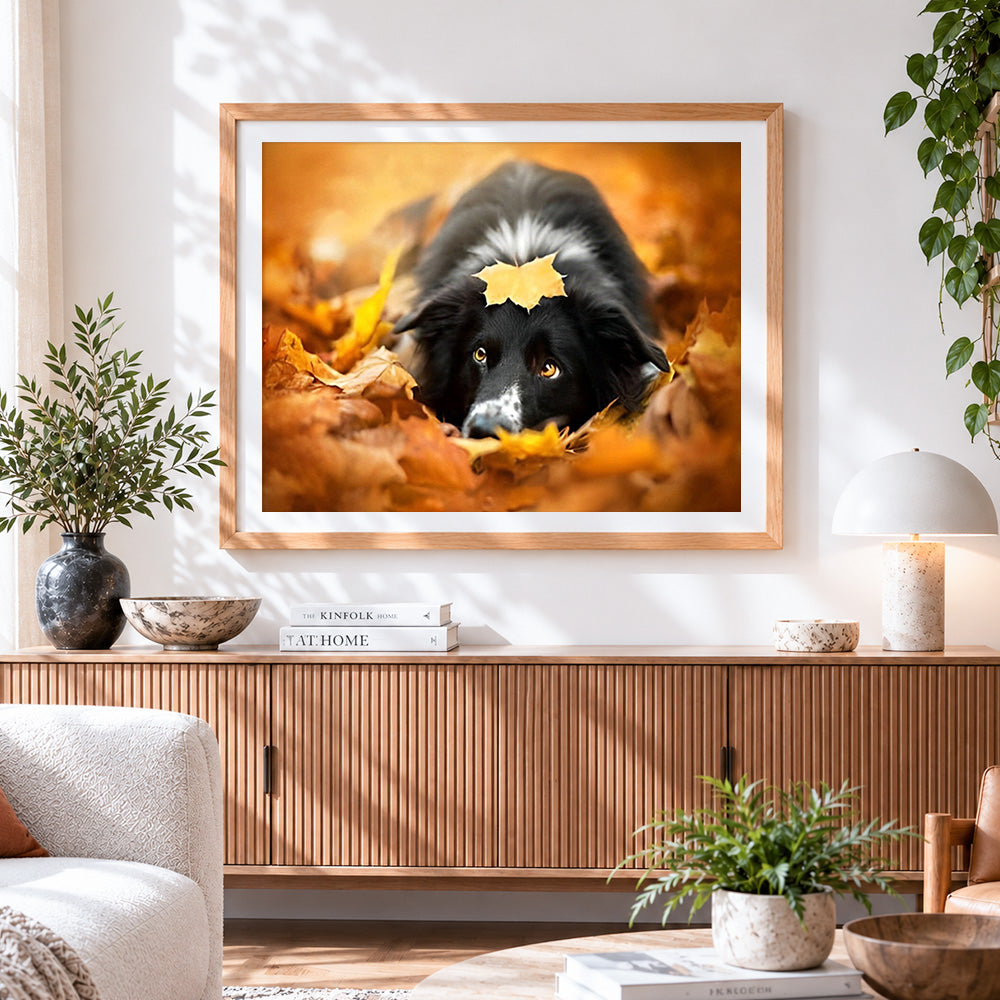 Finished border collie in autumn leaves cross stitch artwork displayed