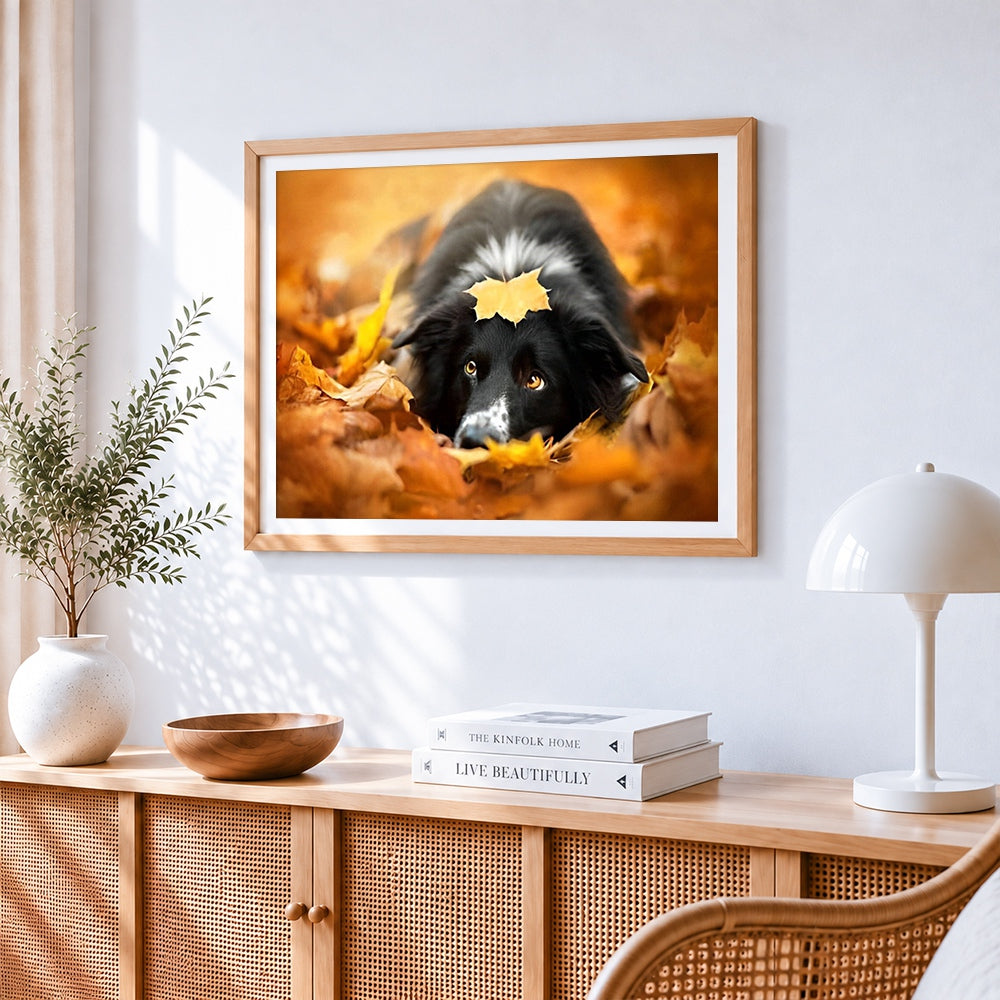 Border collie in autumn leaves cross stitch artwork displayed on wall as home decor