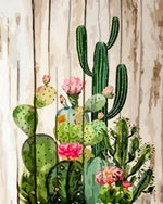 Cactus with pink flowers on wood cross stitch kit for beginners
