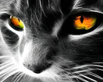Cat eye close up cross stitch kit for beginners