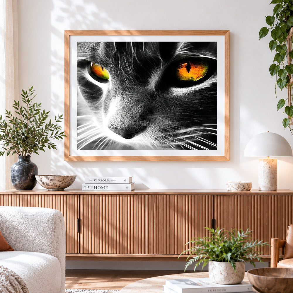 Finished cat eye close up paint by numbers artwork displayed as home decor