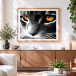 Finished cat eye close up paint by numbers artwork displayed as home decor