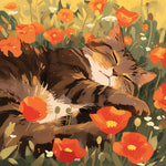 Cat sleeping in poppies cross stitch kit for beginners