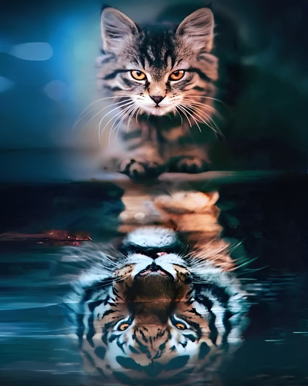 Cat to tiger reflection cross stitch kit for beginners