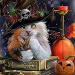 Cat with skull hat cross stitch kit for beginners