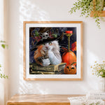 Finished cat with skull hat paint by numbers artwork displayed as home decor