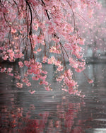 Cherry blossom branches over water cross stitch kit for beginners