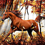 Chestnut horse running in autumn forest cross stitch kit for beginners