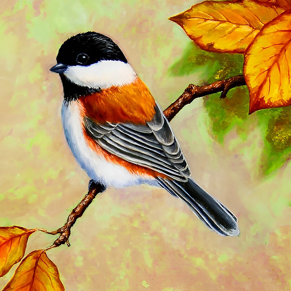 Chickadee on autumn branch cross stitch kit for beginners
