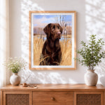 Finished chocolate labrador in reeds cross stitch artwork displayed
