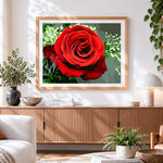 Finished classic red rose and gypsophila cross stitch artwork displayed