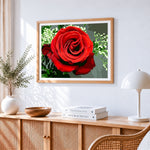 Classic red rose and gypsophila paint by numbers artwork displayed on wall as home decor