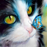Close-up cat with a blue butterfly paint by numbers kit for beginners