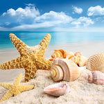 Coastal starfish and seashells on the beach paint by numbers kit for beginners