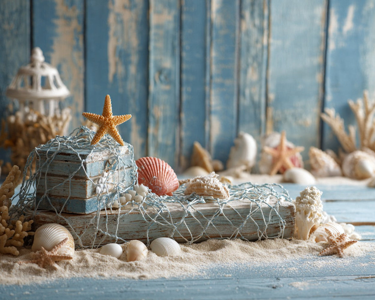 Coastal starfish and seashells paint by numbers kit for beginners