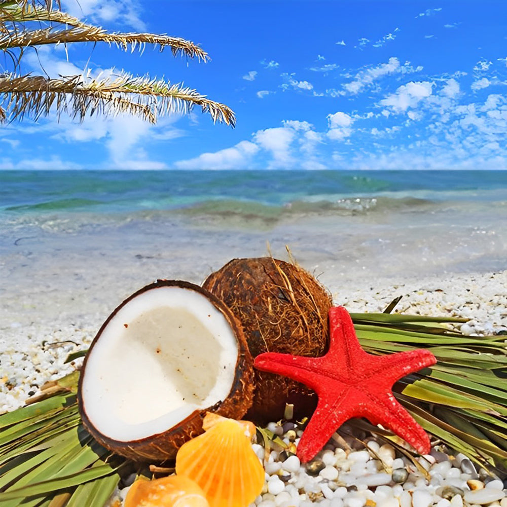 Coconuts and starfish on a tropical beach cross stitch kit for beginners