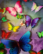 Colourful butterflies and shadows cross stitch kit for beginners