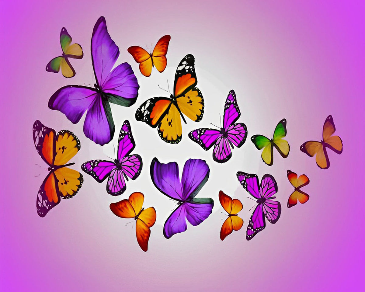 Colourful butterflies cross stitch kit for beginners