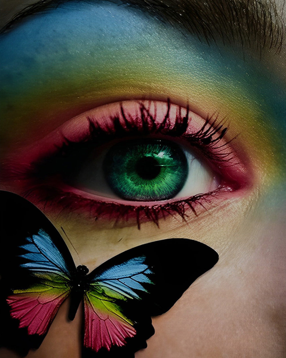 Colourful butterfly and green eye cross stitch kit for beginners