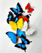 Colourful butterfly collection cross stitch kit for beginners
