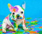 Colourful french bulldog puppy cross stitch kit for beginners