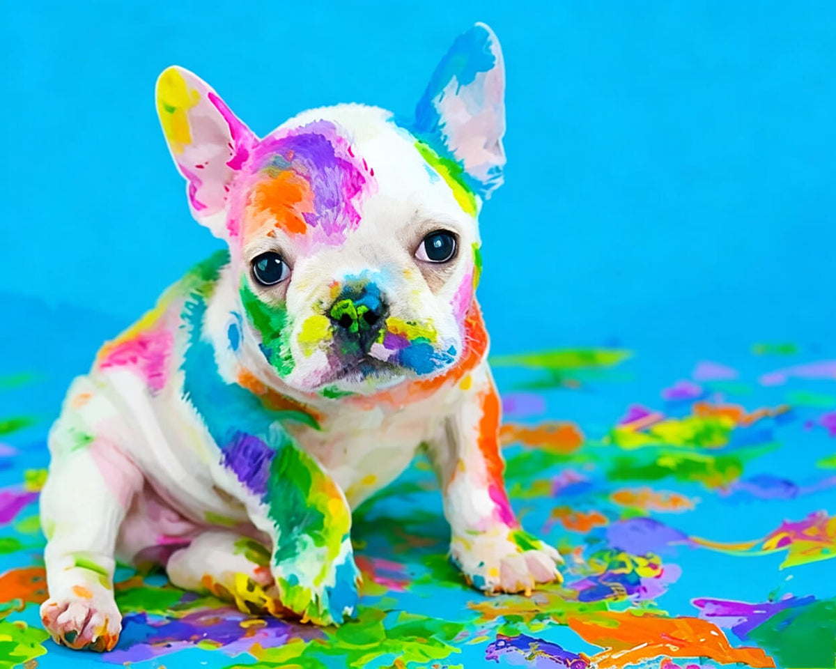 Colourful french bulldog puppy cross stitch kit for beginners