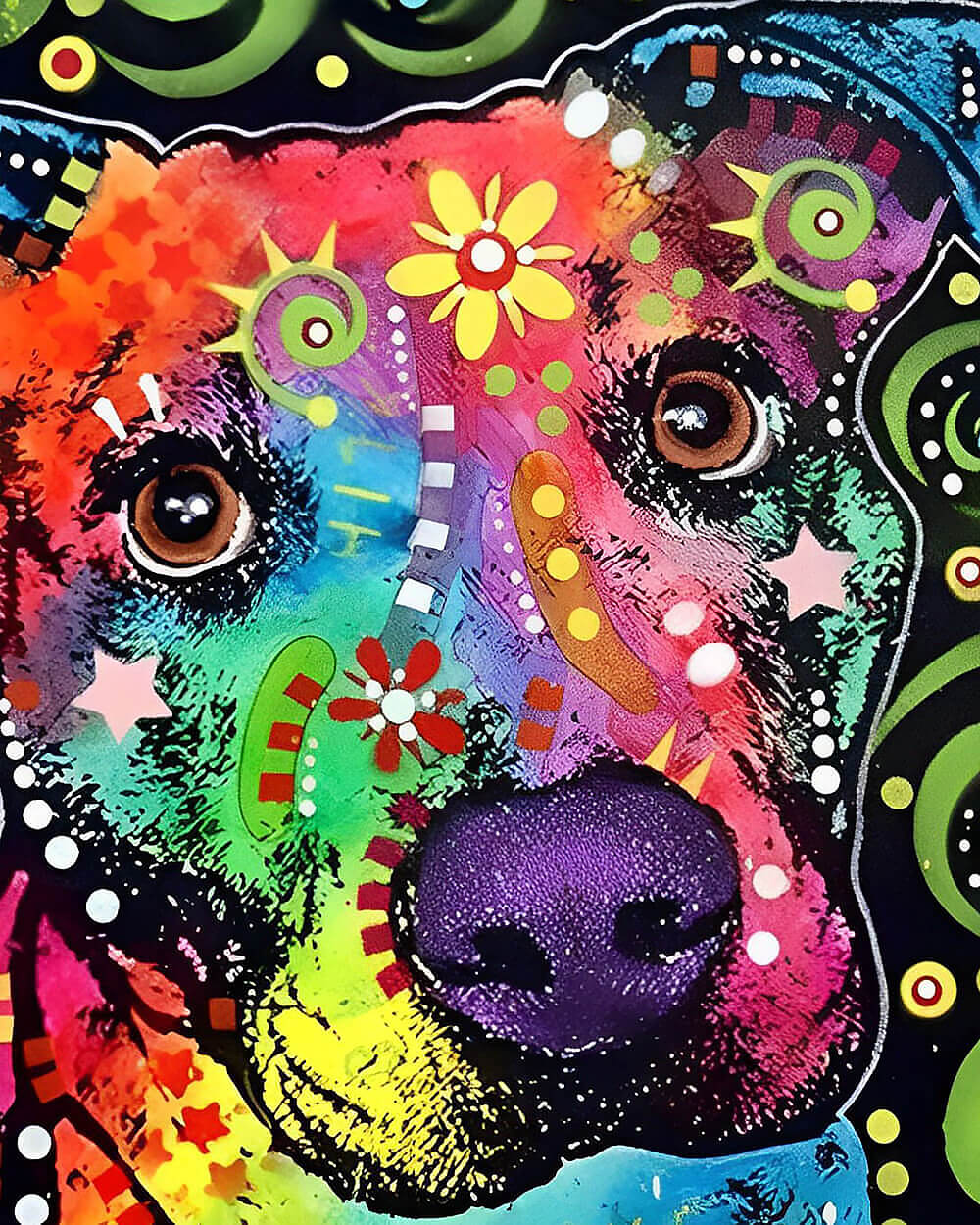 Colourful graffiti dog cross stitch kit for beginners