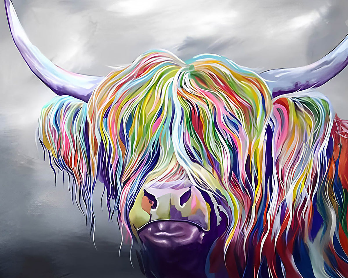 Colourful highland cow paint by numbers kit for beginners