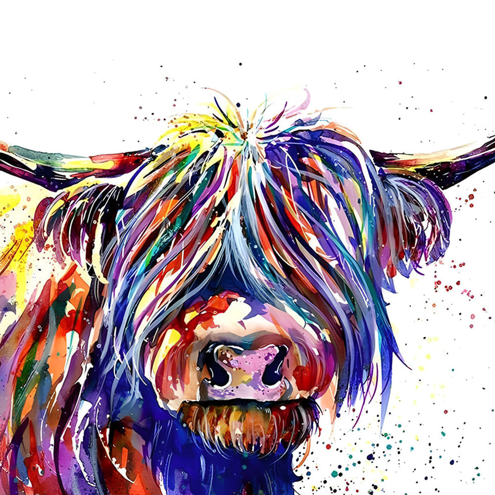 Colourful highland cow splatter art paint by numbers kit for beginners