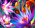 Colourful lotus flowers with psychedelic swirls cross stitch kit for beginners