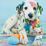 Colourful painted dalmatian puppy cross stitch kit for beginners