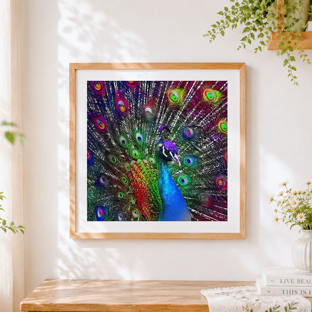 Finished colourful peacock with rainbow feathers cross stitch artwork displayed