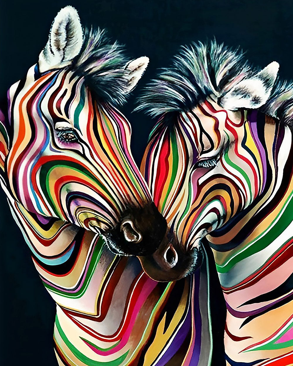 Colourful striped zebras paint by numbers kit for beginners