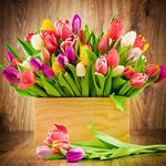 Colourful tulips in a wooden crate cross stitch kit for beginners