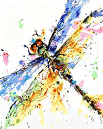 Colourful watercolour dragonfly cross stitch kit for beginners