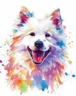 Colourful watercolour pomeranian paint by numbers kit for beginners
