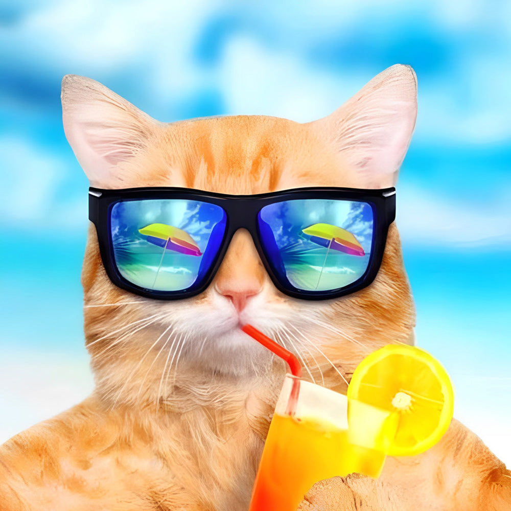 Cool cat in sunglasses with a cocktail paint by numbers kit for beginners