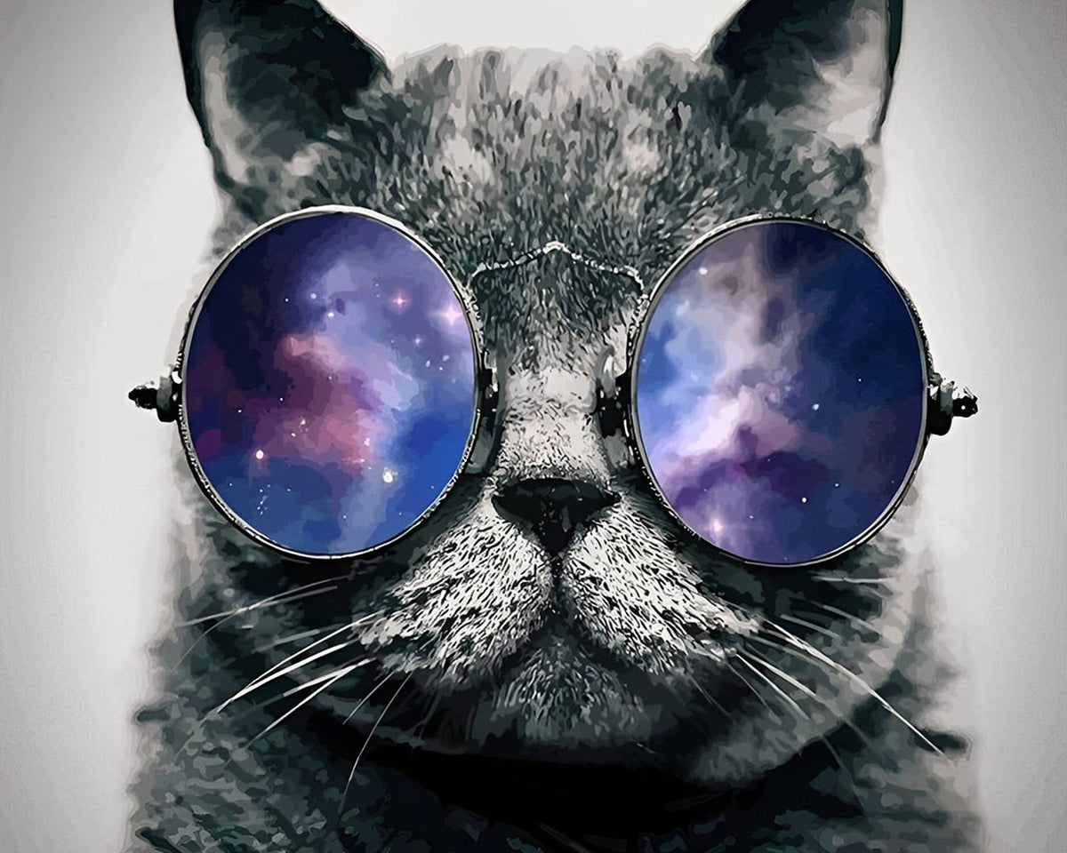 Cool cat wearing galaxy sunglasses cross stitch kit for beginners