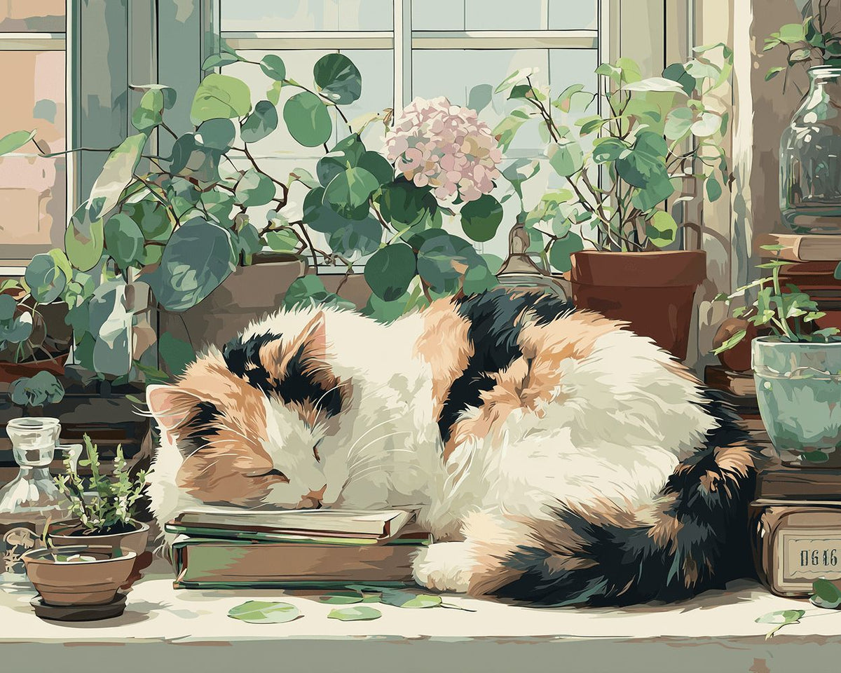 Cosy calico cat sleeping on books cross stitch kit for beginners