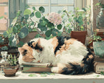 Cosy calico cat sleeping on books paint by numbers kit for beginners