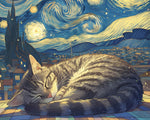 Cosy cat sleeping under a starry night cross stitch kit for beginners