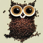 Creative coffee bean owl with espresso cups cross stitch kit for beginners