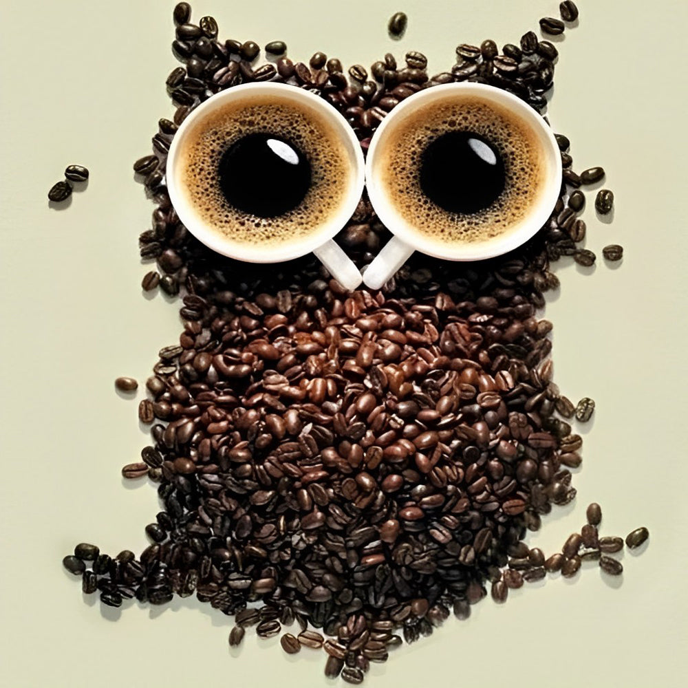 Creative coffee bean owl with espresso cups cross stitch kit for beginners