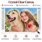 Crystal clear custom diamond painting canvas with glossy drills and detailed colour chart