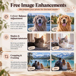 Free image enhancements for custom diamond painting photos including colour balance, lighting and cropping