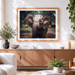 Finished cute baby elephant splashing water paint by numbers artwork displayed as home decor