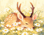 Cute fawn sleeping in a daisy field paint by numbers kit for beginners