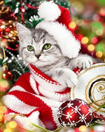 Cute kitten in santa hat and jumper cross stitch kit for beginners