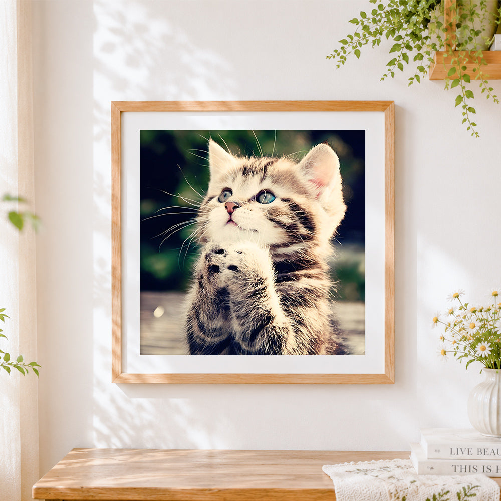 Finished cute kitten with paws together paint by numbers artwork displayed as home decor