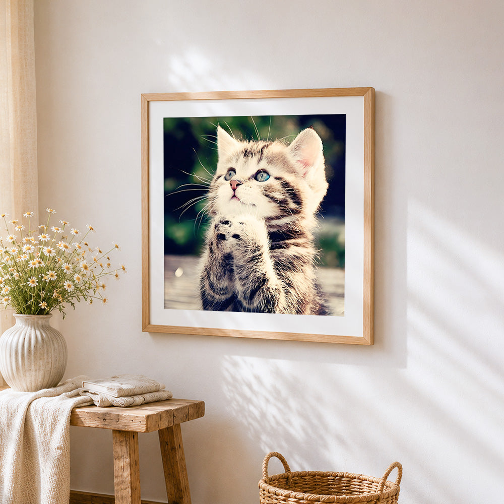Cute kitten with paws together paint by numbers artwork displayed on wall as home decor